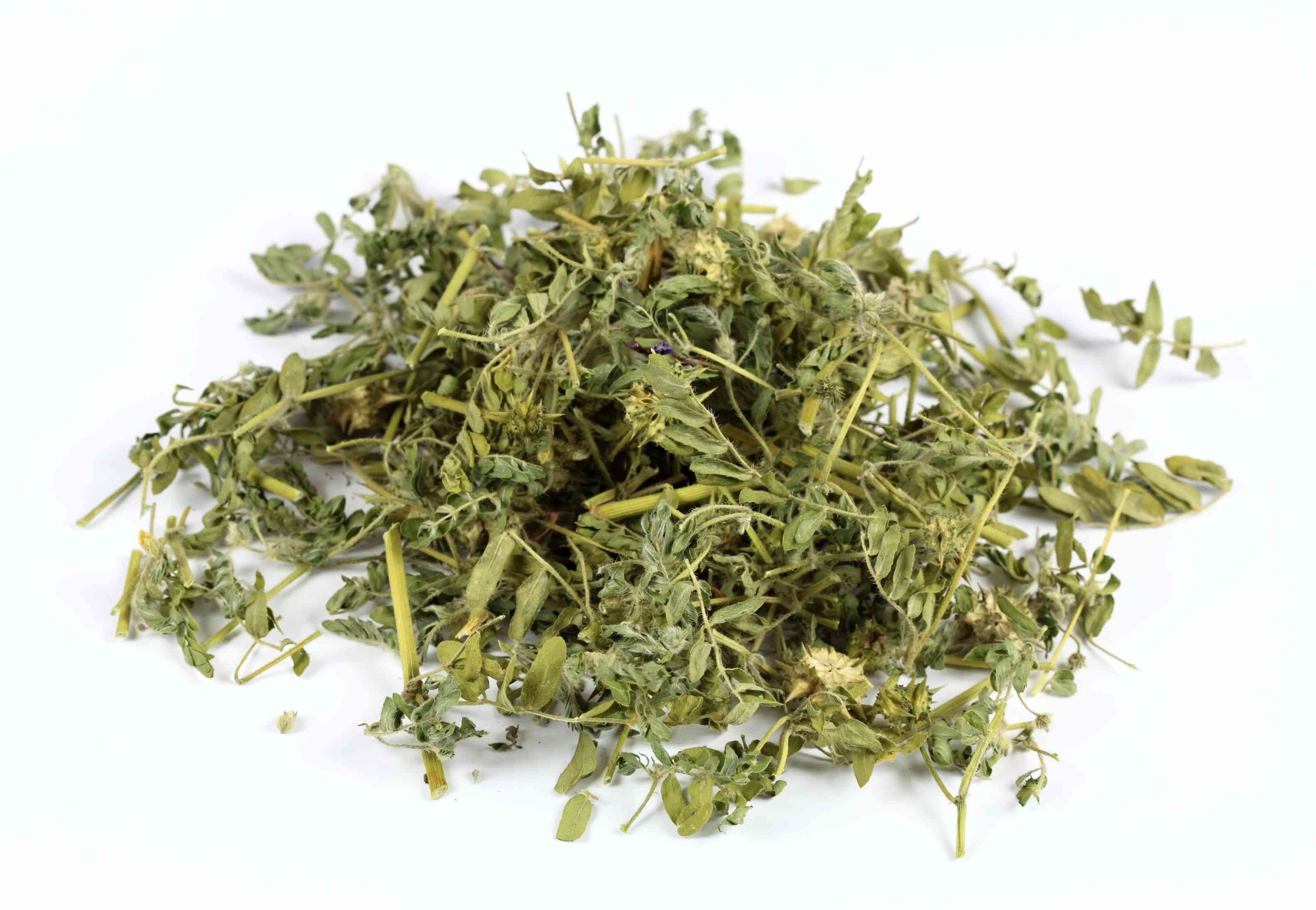 Tribulus terrestris Wholesale Manufacturer & Supplier in India